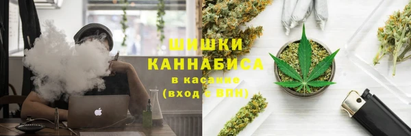 гашик Богородицк
