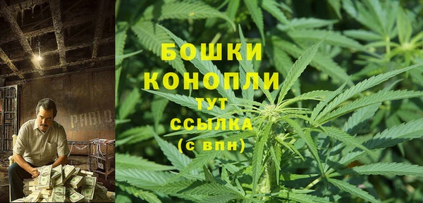 гашик Богородицк