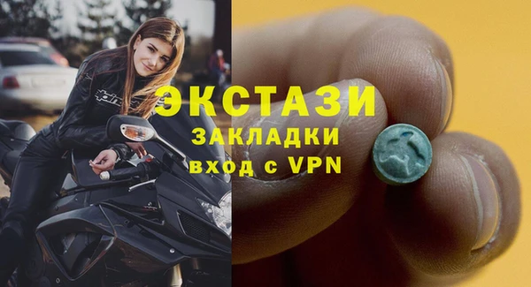 гашик Богородицк