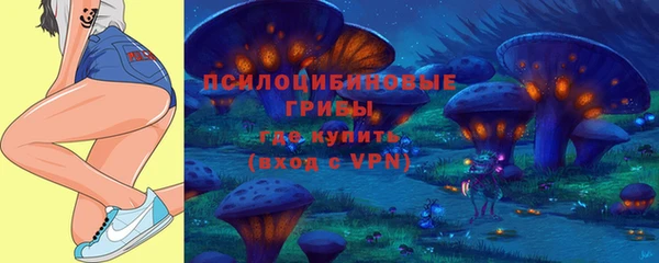 круглые Богданович