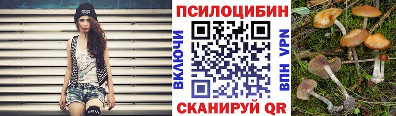 Галлюциногенные грибы Psilocybine cubensis  купить наркоту  Барыш 